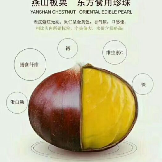 遵化市燕山油栗