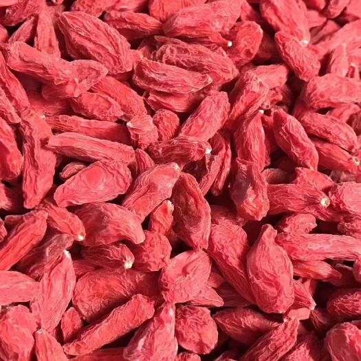瓜州县红枸杞  精品枸杞，特级精选