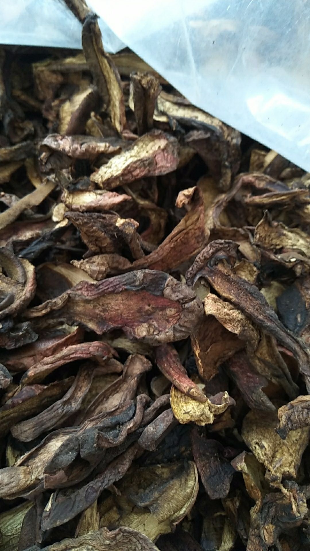 黑牛肝菌 出售变色蘑干片300斤