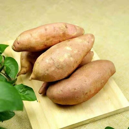 文安县 农家自己种植新鲜红薯现挖现发