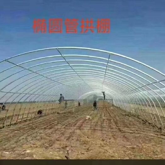 长春大棚杆 天津聚友信大棚管生产厂家