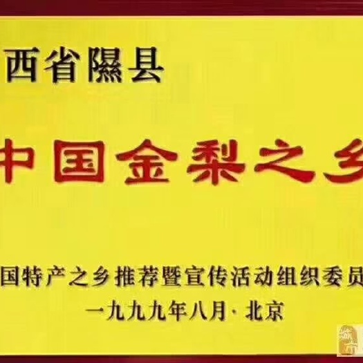 隰縣香梨  玉露香山西隰縣特產(chǎn)