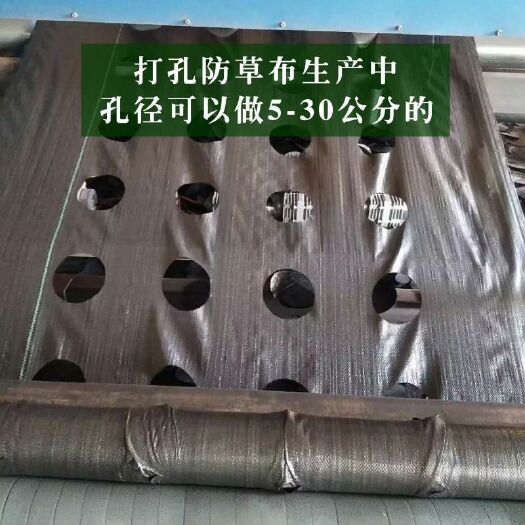  王先生品牌抗暴晒手工打孔防草布草莓专用打孔地布pp编织布