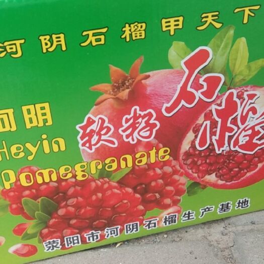 尉氏县 河阴石榴