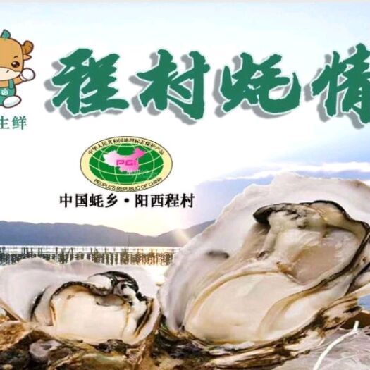 阳西县阳江生蚝 正宗阳江程村蚝，肥美上市，味道鲜美，可少量试货，欢迎咨询