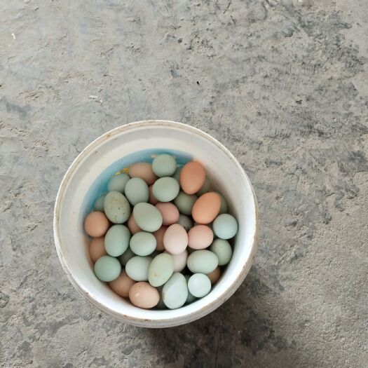 岳阳县 有新鲜土鸡蛋供应，有需要的联系哦。非诚勿扰