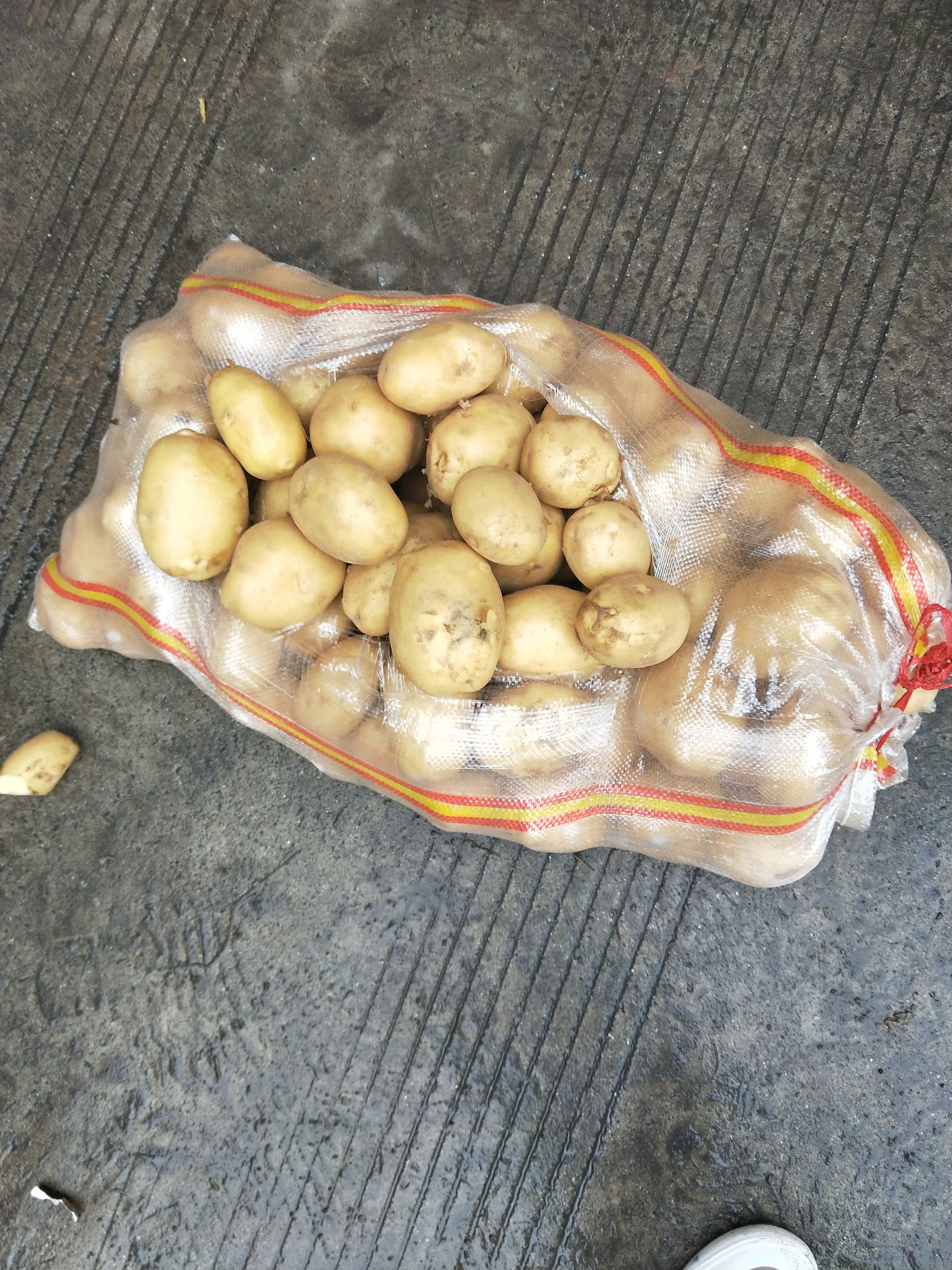 希森6号  精品黄沙V七 土豆，希森，斯凡特，荷兰，便宜了，