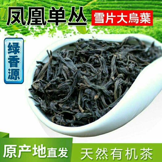 潮州凤凰单丛 绿香源 原产地直发 凤凰雪片大乌叶 花香型