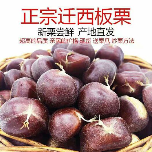 信阳新板栗，炒货油栗农户家便宜出售产地发货，