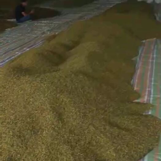 鄯善县 葡萄干