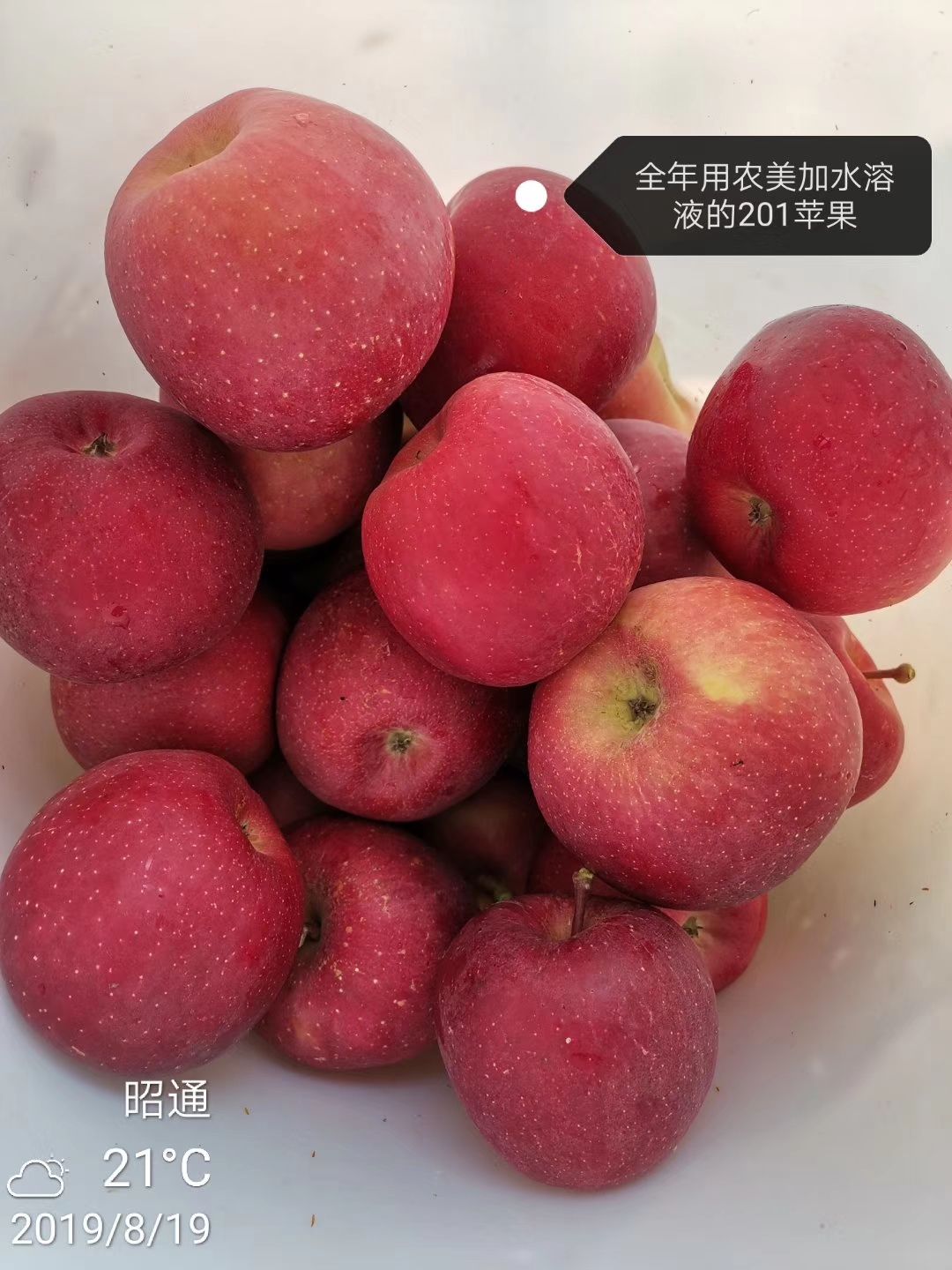  正宗昭通苹果，香甜可口，