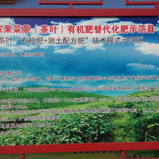 咸丰县恩施富硒绿茶 恩施硒茶正宗春茶