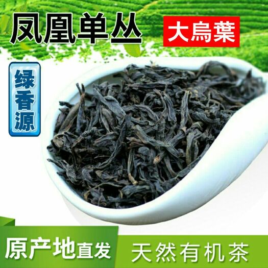 潮州 绿香源 凤凰单丛原产地直发 花香型大乌叶 礼盒装500g
