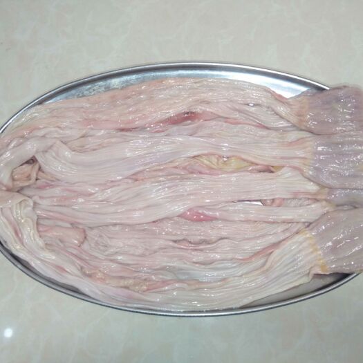 新鲜冷冻鸭食管:鸭食带、鸭郡把、鸭腺胃、鸭板肠。