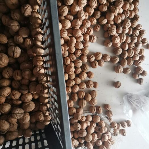 沁水县 自家核桃，优质品种，价格适中