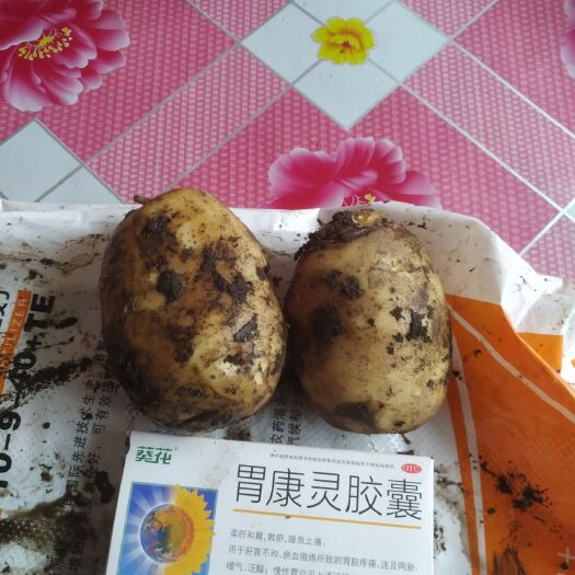 牙克石市尤金885土豆 诚意