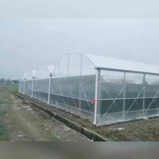 常州大棚钢管 大棚尺寸随意定制