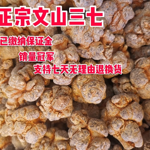 文山市文三七  足40头文山三七  产地直供  可磨粉