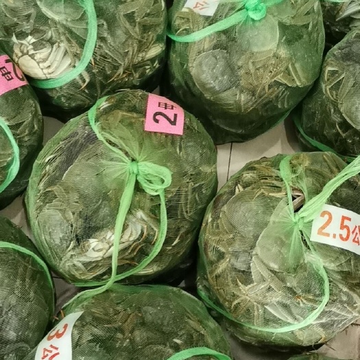 泰州 大闸蟹兴化本地货 量大从优