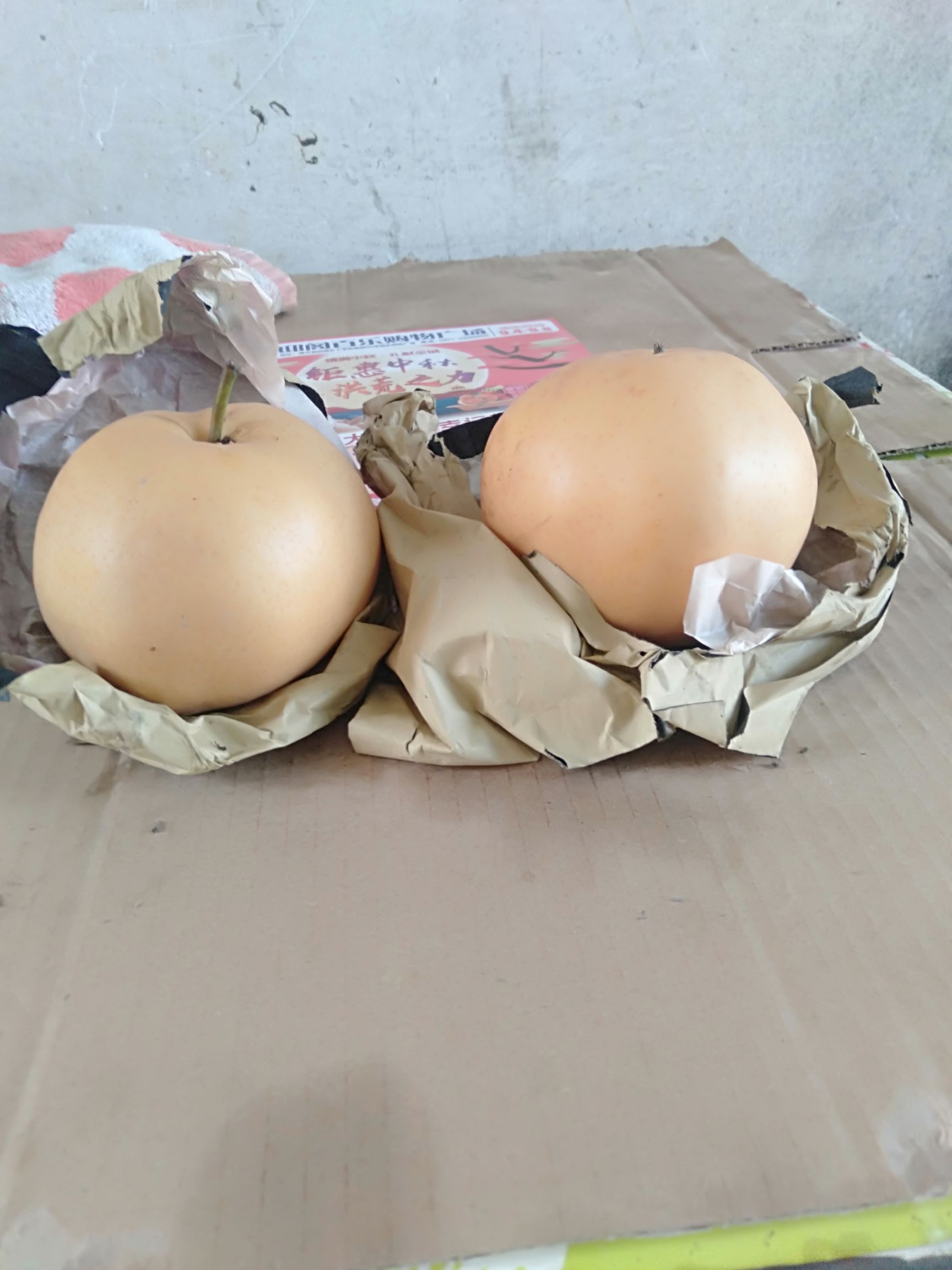 晚秋黄梨 果质鲜亮，果肉脆甜