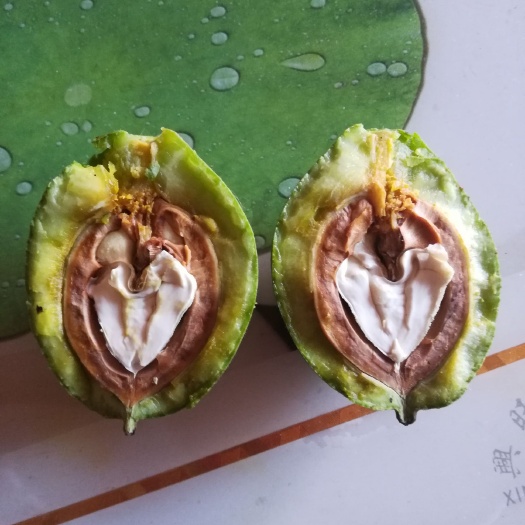 澄城县 纯香菱，香菱诚信第一的老板需要青皮核桃找我！