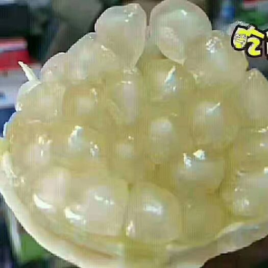 怀远县 大禹故乡荆塗山怀远玉石籽石榴和红玛瑙石榴