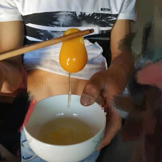 陇西县 土鸡蛋