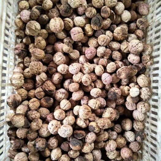 双柏县 茶核桃，有做这行业老板联系我！