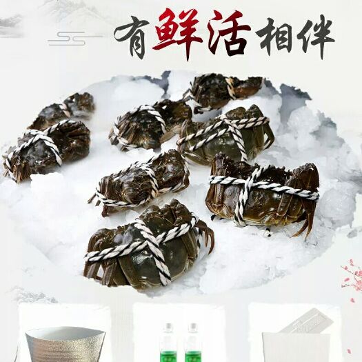 如皋市 兴化大闸蟹