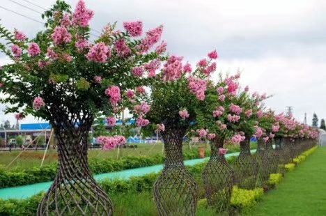 方城县 精品紫薇编制花瓶 花瓶骨架 花瓶模具 海棠花瓶
