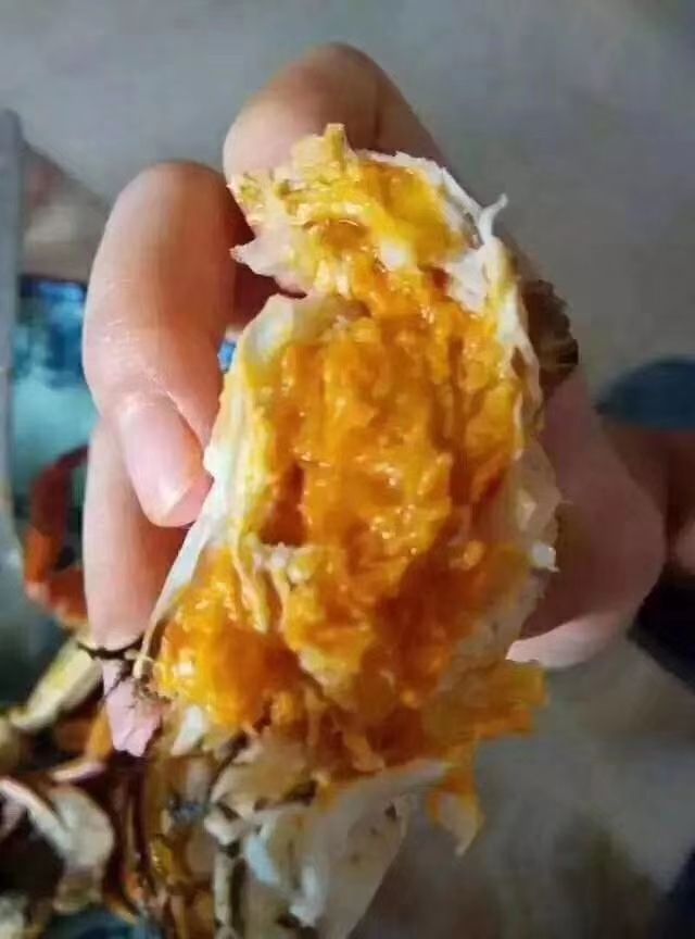 湖北洪湖大闸蟹产地直供，支持混批，损耗包赔