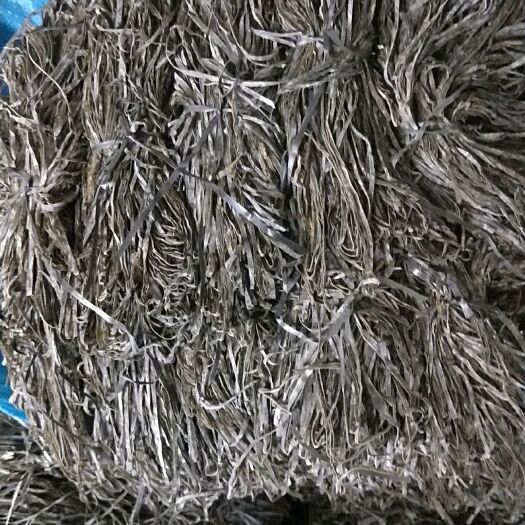 海带丝  福建霞浦无沙纯青