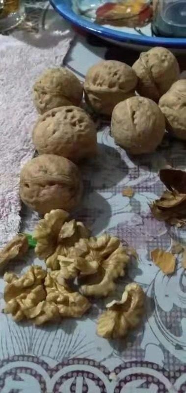汾阳市 礼品核桃