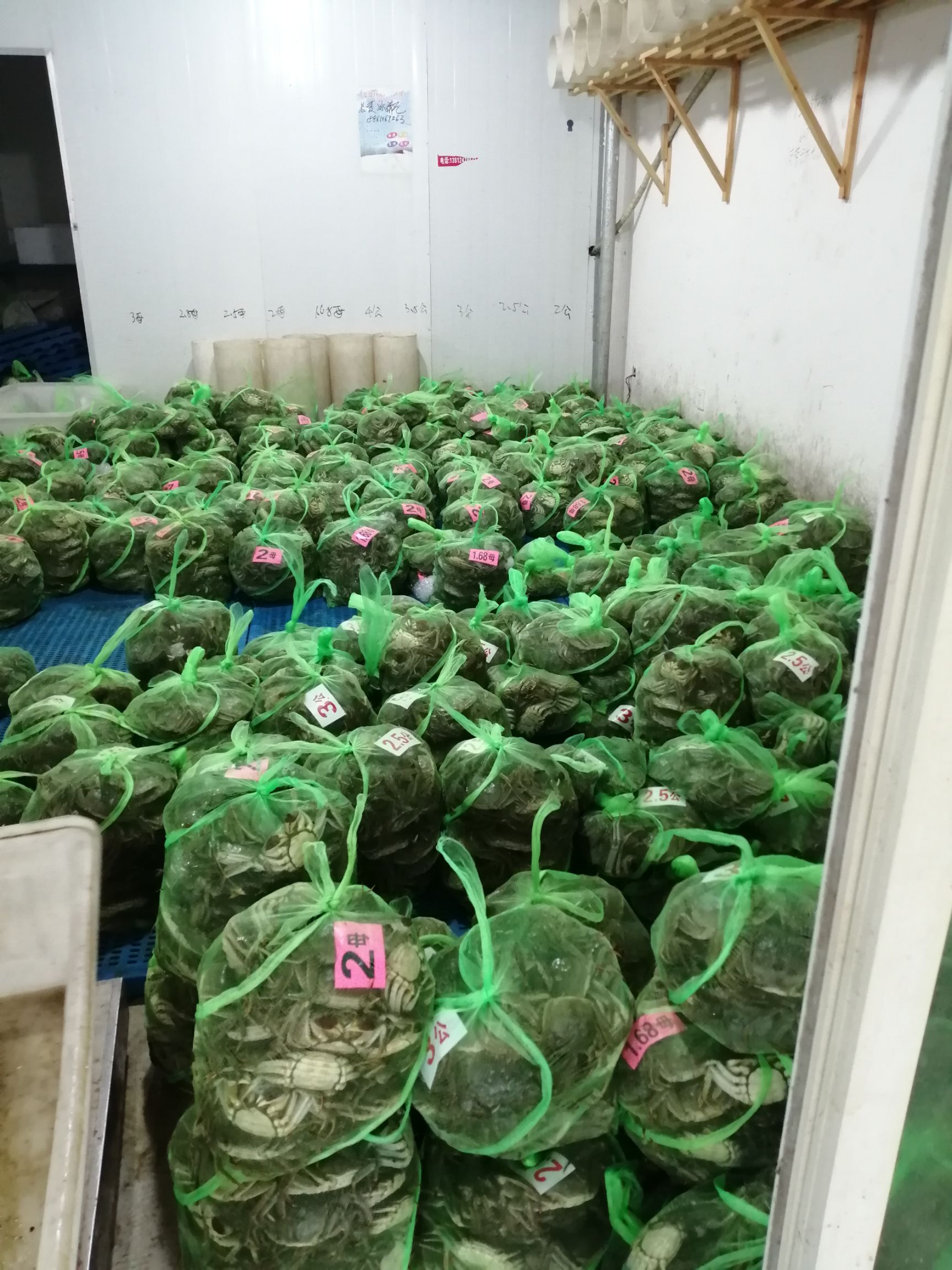 湖北洪湖大闸蟹产地直批，损耗包赔，支持混批