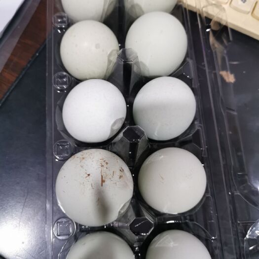 宜春绿壳鸡蛋 正宗散养五黑鸡绿壳蛋
