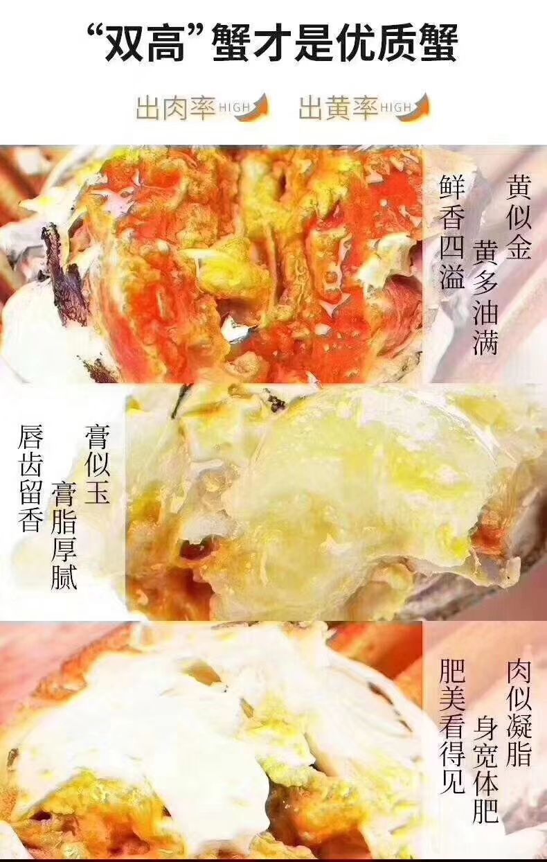 湖北洪湖大闸蟹产地直供，支持混批，损耗包赔
