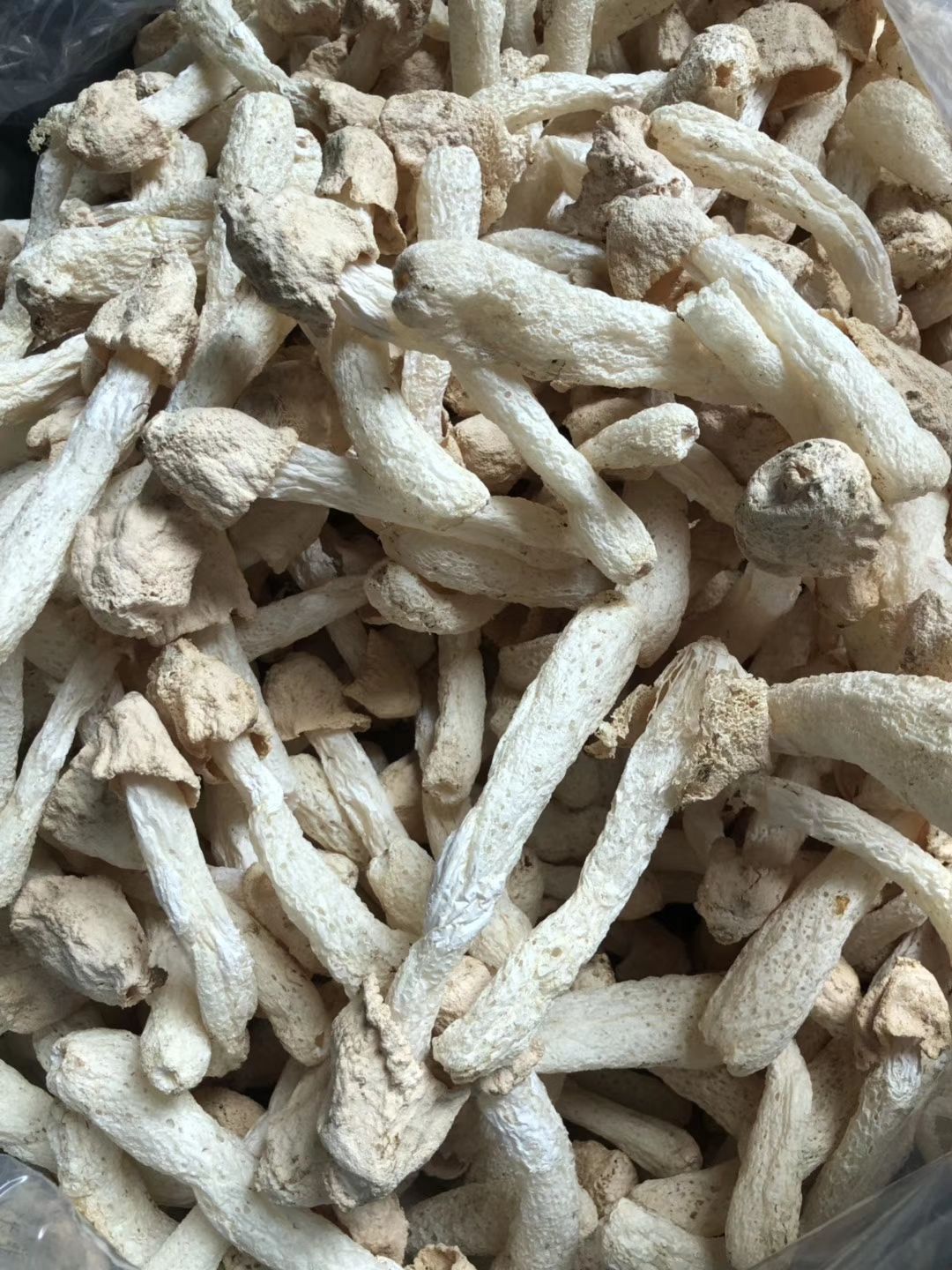  嫩荪，竹荪球