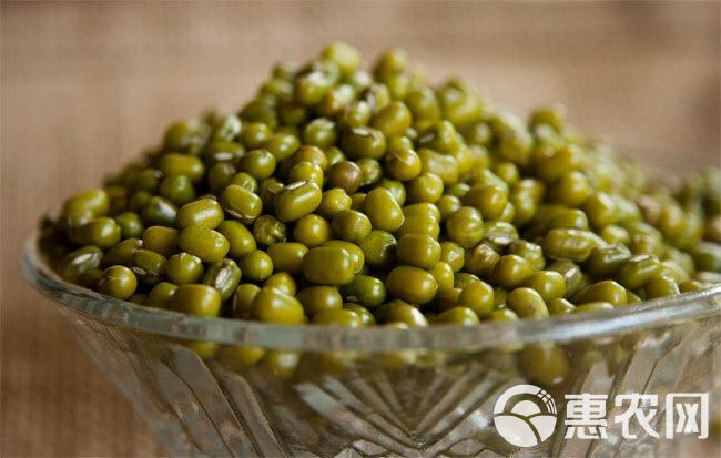 杂绿豆  华北农家自种 药食两用 袋装 一件包邮