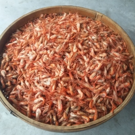 赣州青虾 水煮大河虾