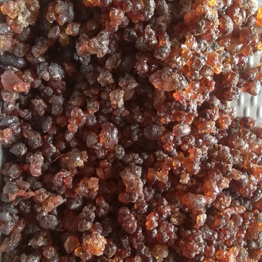 确山县 自家桃园现摘桃胶，绿色无污染，食用放心！