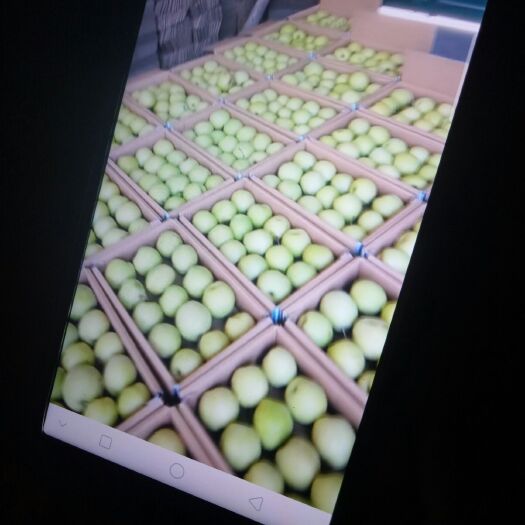 赵县 精品皇冠梨纸箱250~300g