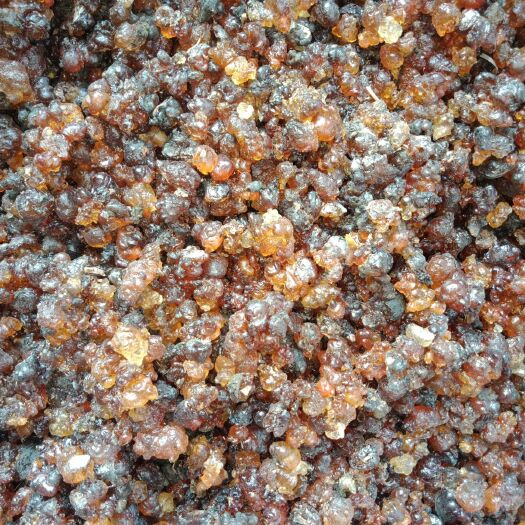 随县红桃胶 6-12个月 散装