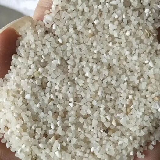 碎米大量现货，专用加工酒米，酱油，饲料，干净无杂