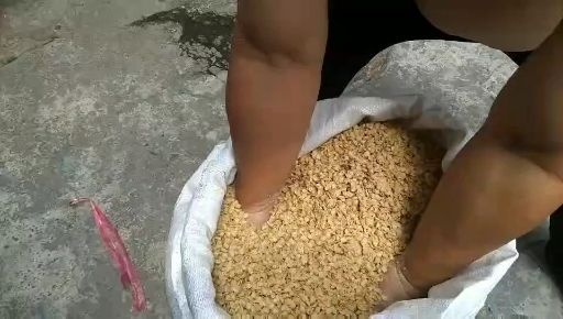 深圳豆腐渣  让寻常百姓也来共享受绿色食品，摸摸良心去养殖！