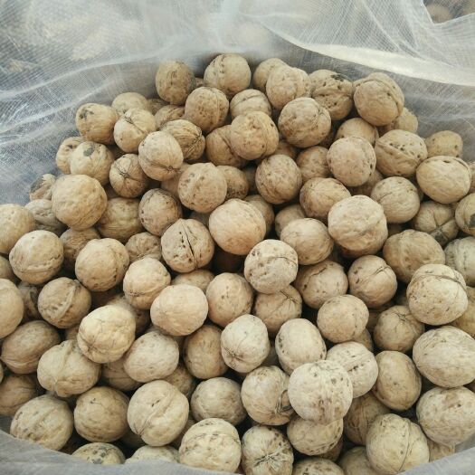 汾阳市山西省汾阳市礼品核桃