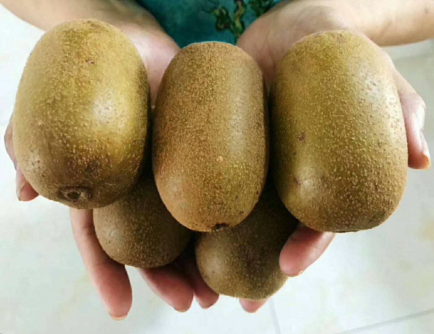  黄心猕猴桃上市了，欢迎各位采购！