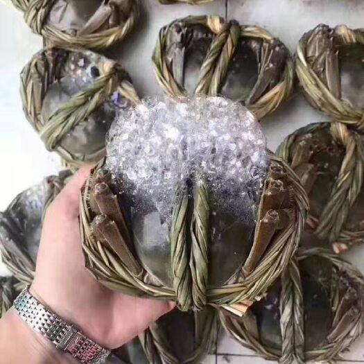 兴化市 大闸蟹