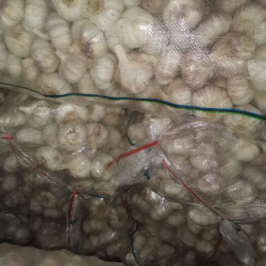 邳州市邳州大蒜 全是近期收的货，色泽好，无开花散头，欢迎广大新老客户前来选购