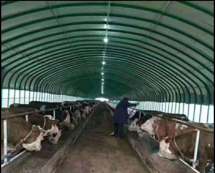 养殖大棚 大棚管鸡鸭鹅猪牛羊专用  大棚杆包塑大棚管