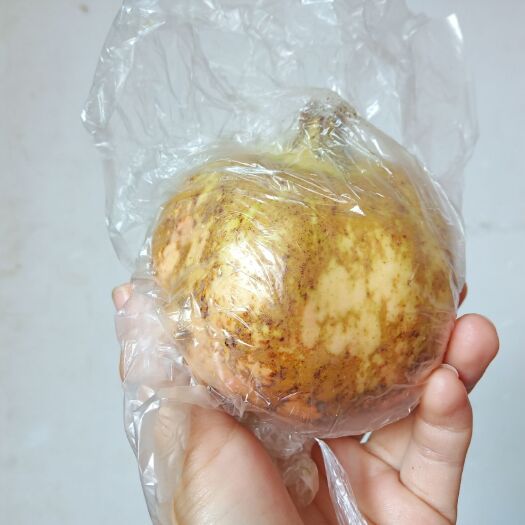 蒙自市石榴  丑果（表皮难看~籽粒饱满，不影响口感）五两~六两